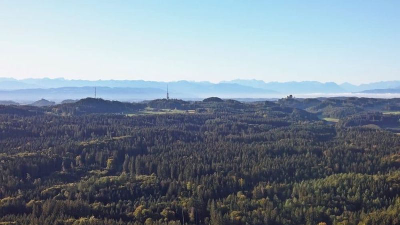 Oberschwabens grüne Lunge | Impressionen Altdorfer Wald